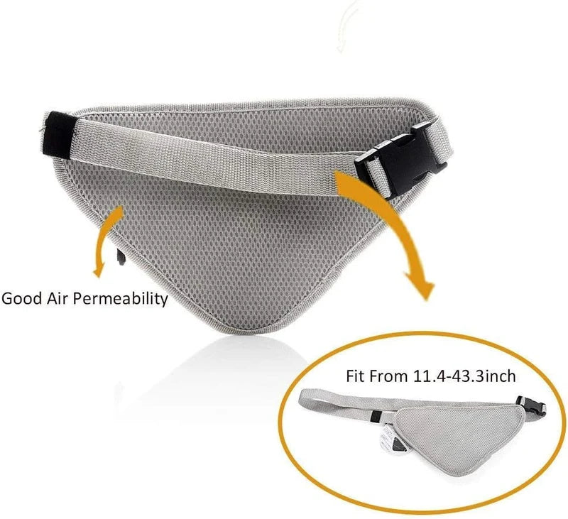 ActiveFit Sports Waist Bag